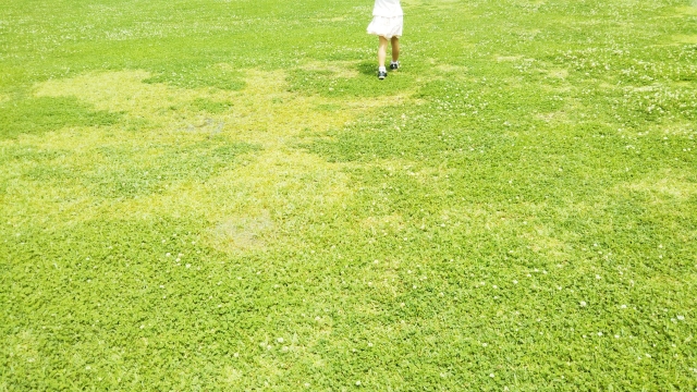 【女性へ】嫉妬しない男性はほぼいないですよ。